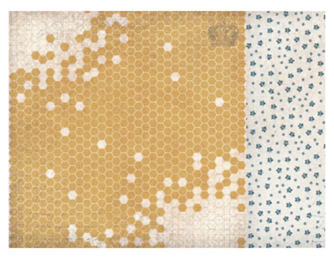 Бумага двусторонняя  Honeycomb "Forget-me-not" 30,5x30,5 см